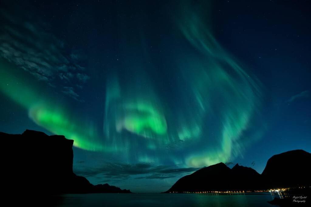 Waterfront Senja 3 Daire Torsken Dış mekan fotoğraf