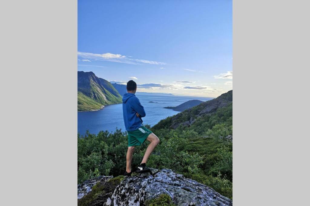 Waterfront Senja 3 Daire Torsken Dış mekan fotoğraf